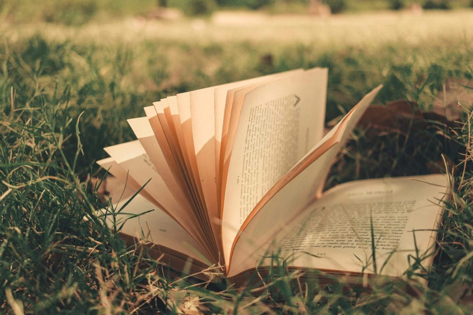 Open book on grass, sunlight filtering through.