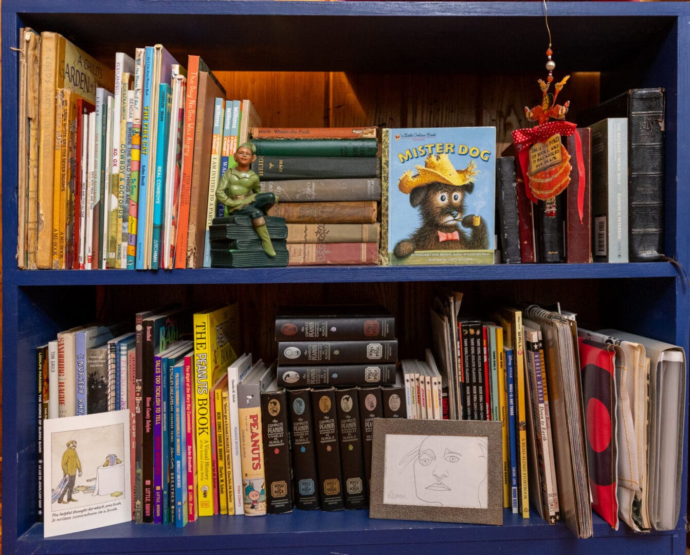 Library Shelf Kids