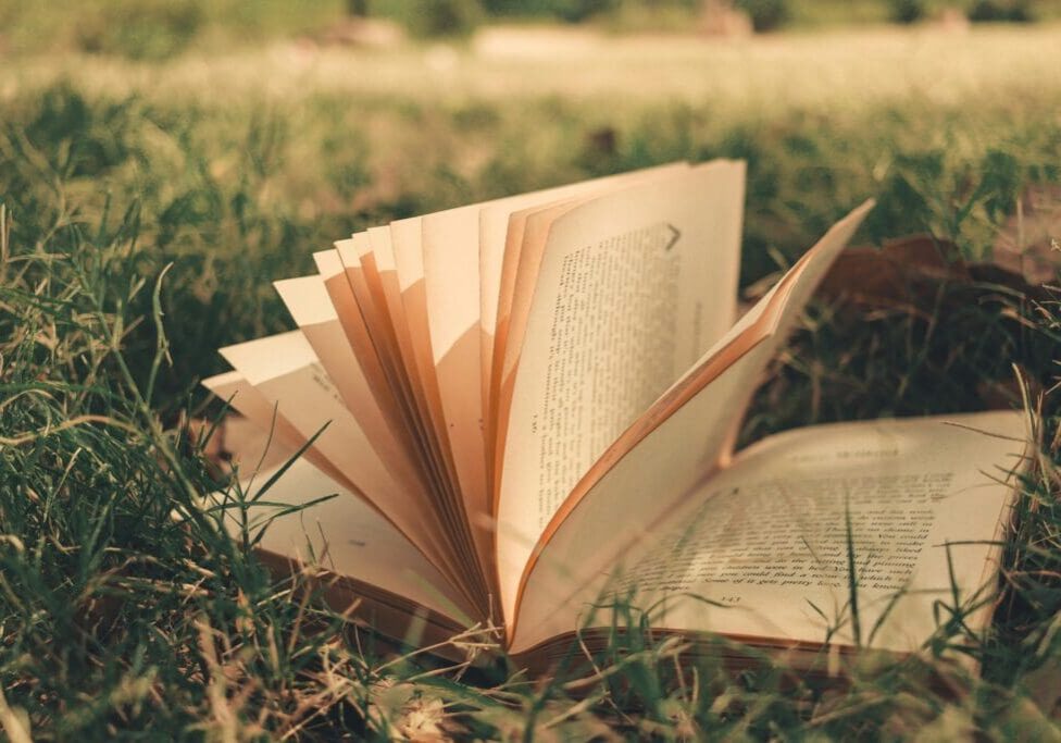 Open book on grass, sunlight filtering through.