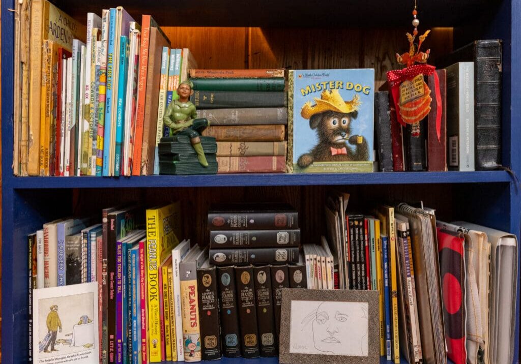 Library Shelf Kids